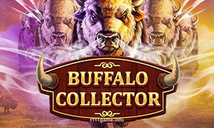 Imagem do jogo Buffalo Collector no t111 game